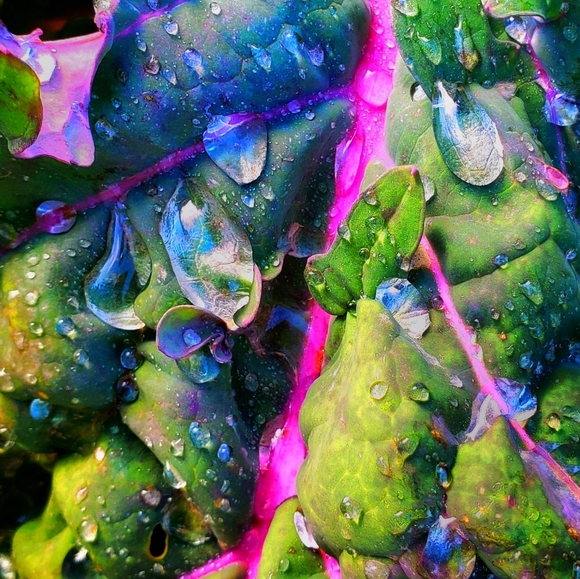 Meet your Posher, Stephanie - Picture 4 of 4